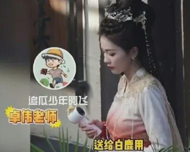 白鹿爆料视频大全集最新,揭秘娱乐圈幕后真相  第1张