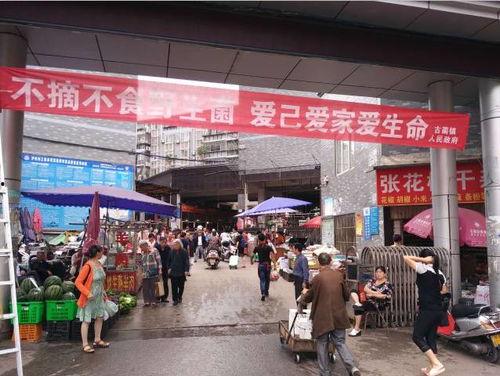 古蔺餐馆爆料视频大全集,揭秘美食背后的故事  第2张