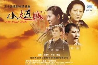 小麦进城电视剧全集在线观看,农村女孩的奋斗与蜕变之路  第3张